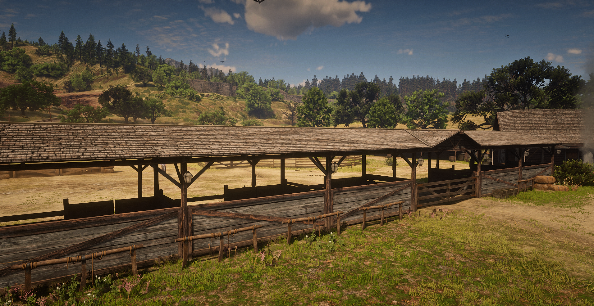 Younra | MacFarlane's Ranch