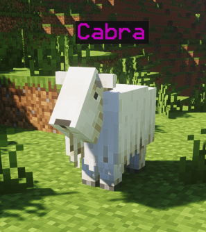 70840c4d59170dbecafb263166b0bfd0881b3c2d.png