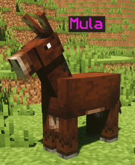 b8c5bc8a28b579a02c15c1dd222dfbb528860a42.png