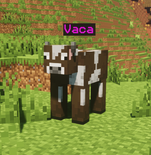 ee70a3acdb2e26459358579056e8c3e983f8d5e3.png