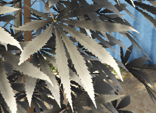 f96cad573e3f6a1016bc3a495b7f2540d315f91f.png