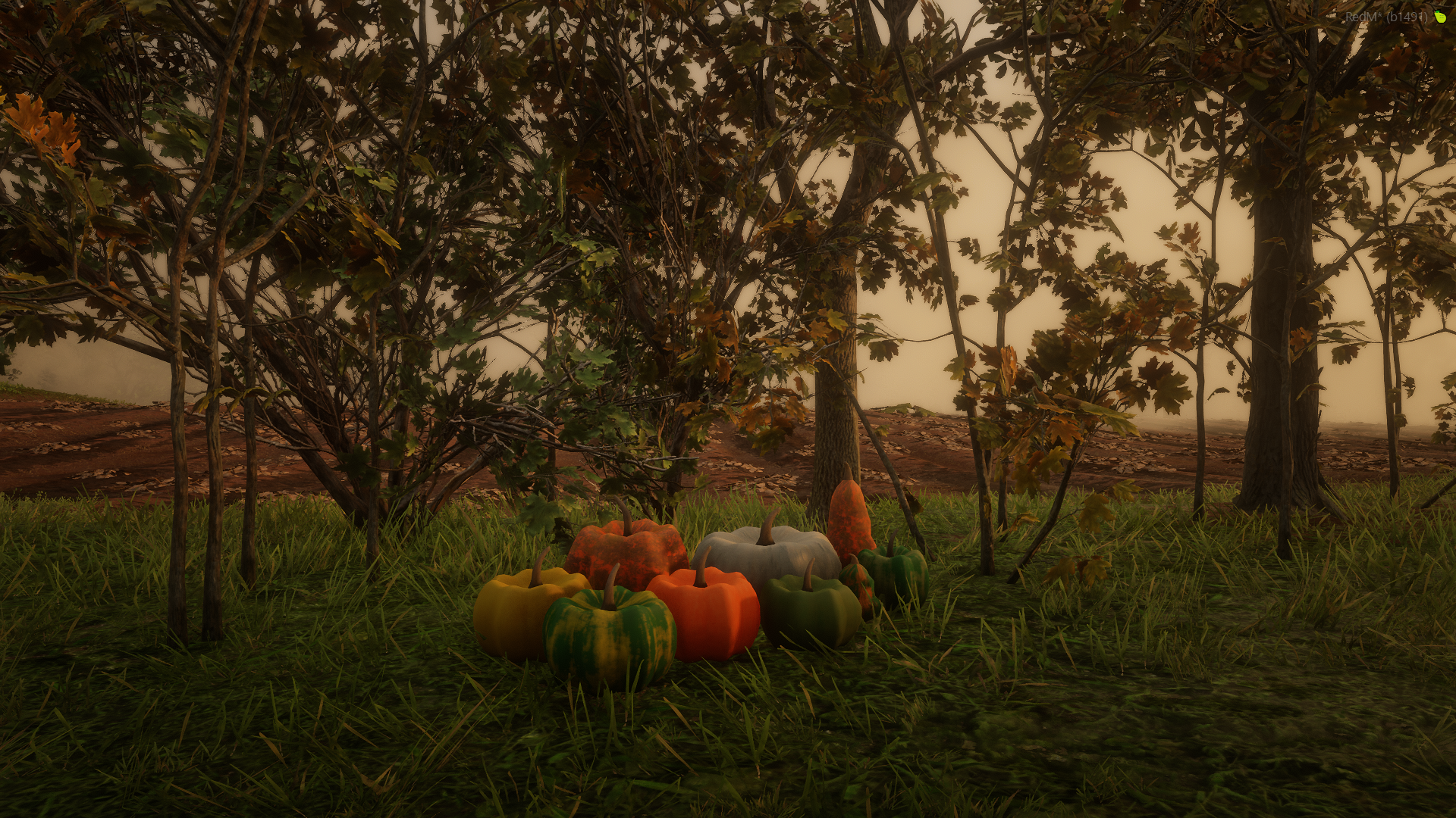 e3d054ab81a985ec347ff341e465004591291555.png