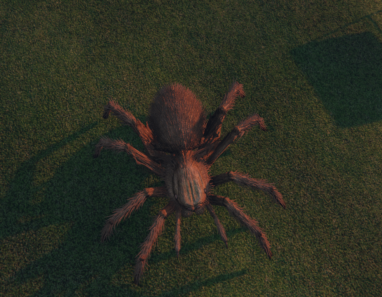 [PAID] Tarantula Ped thumbnail 3