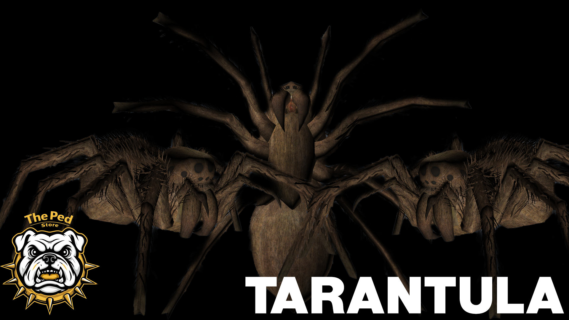 [PAID] Tarantula Ped Thumbnail