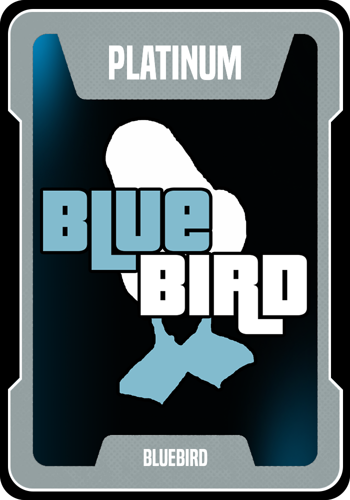 Platinum Supporter role image