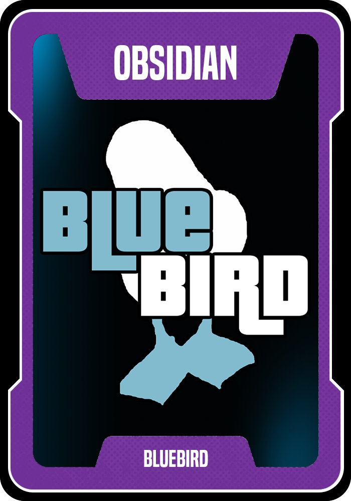 Obsidian Supporter role image