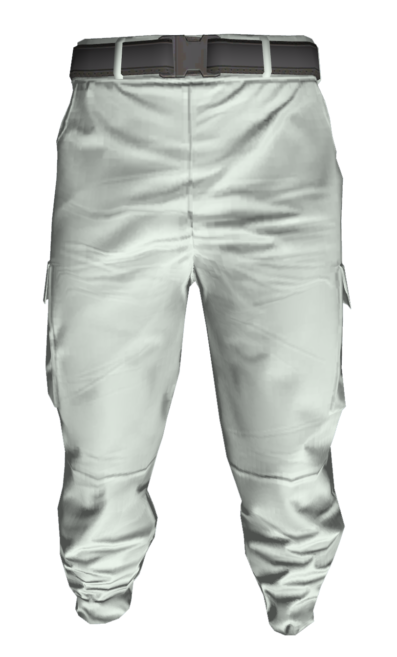 13f9f6c8ffcca344a7b0876c3659c0fe80f5f038.png