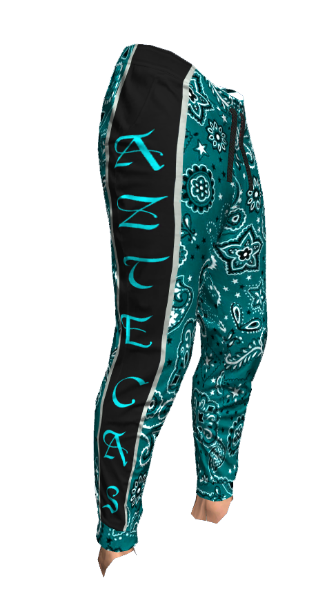1ac227a4a707217ecef88e522b50d5a5be9d76b3.png