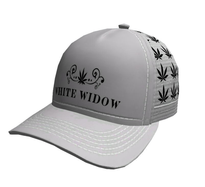 237fe245fc9a7fa4e6a435c2c302b8b3b27976a9.png