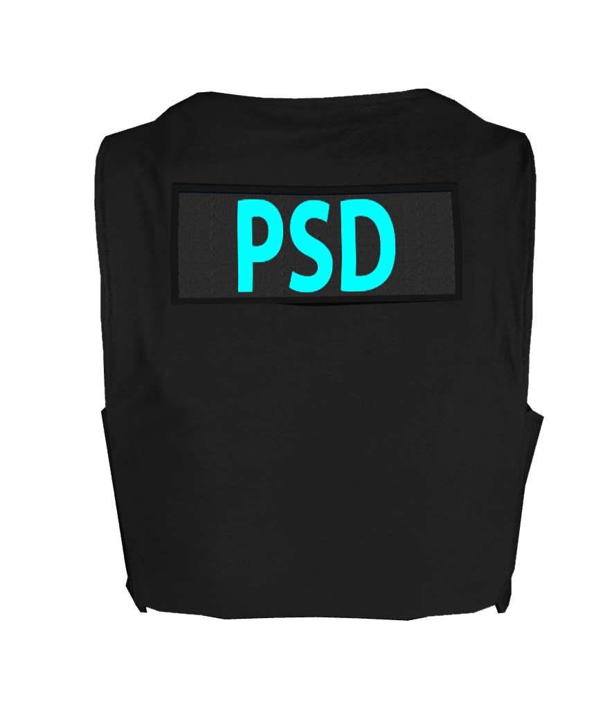 343c8fdf32c8c4b3122a09b0d0100db50a846caf.png