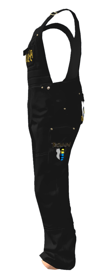 51cda838a3d34019fa6eb0edd207a28f255152ed.png