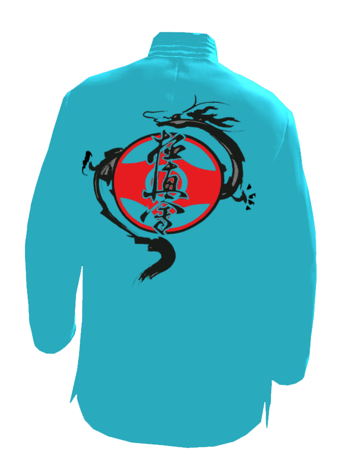 6d321ca5398bad87d520a3719c23be55ae26c885.png