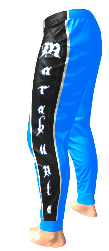 8949939005de7a7d507c3bac92b288ea10087451.png