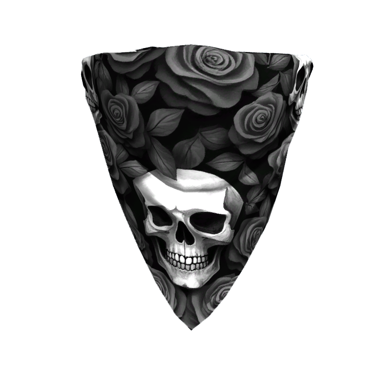 c16c586a28a06cb9f18879af9549beace47a8ef5.png