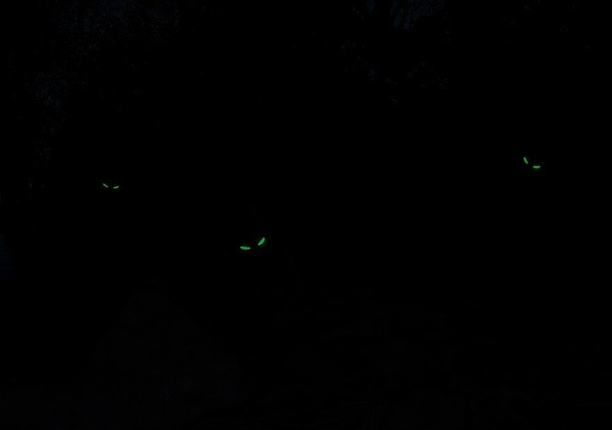 cecde507165548d2fc60300bd860389a831dfa03.png