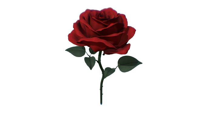 698df89ec73eaeedfe41335319fbc7380b682b15.png