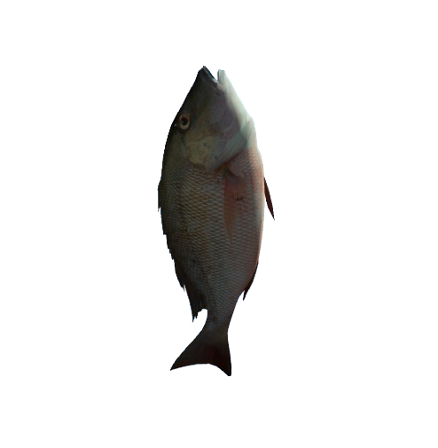 235dc0b46c67091b7086e68f5f8ecadf14945ea7.png