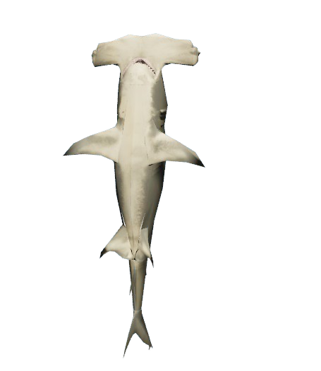 4f2933cb1c77d10b9ed3d88e4d13e81283da12eb.png