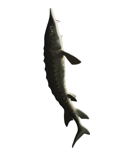 58fe3d89fa3b9725d021b20c73c52aeb8a3f65c8.png