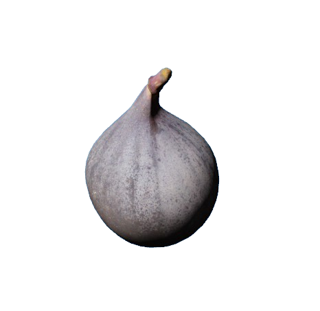 Big farmer and gastronomy job prop pack thumbnail 92