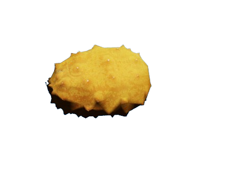 Big farmer and gastronomy job prop pack thumbnail 58