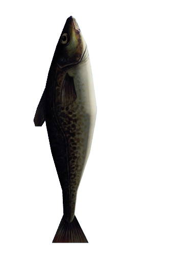 887f252a10ec96d09133630ad491b61b67a51b45.png