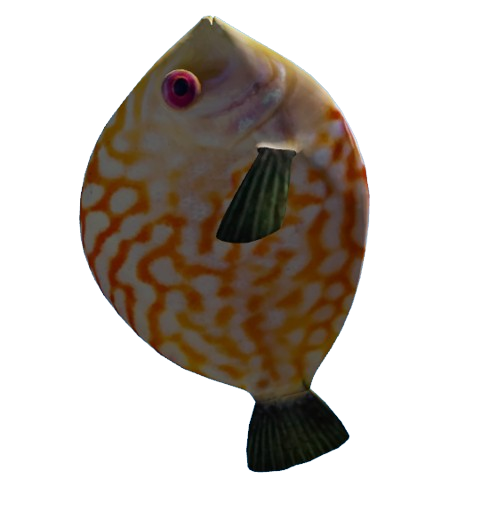 b40e166b5f642eefc706d9af6cbc2cb491e73157.png