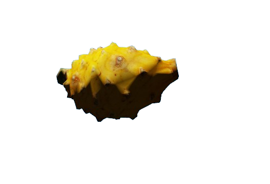 Big farmer and gastronomy job prop pack thumbnail 57