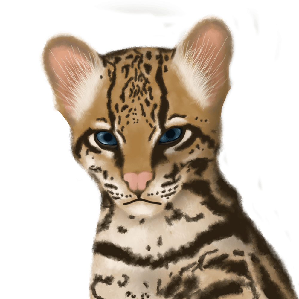 fa6af5111b0ed7ddce28cf5841109d9d71a9aa62.png