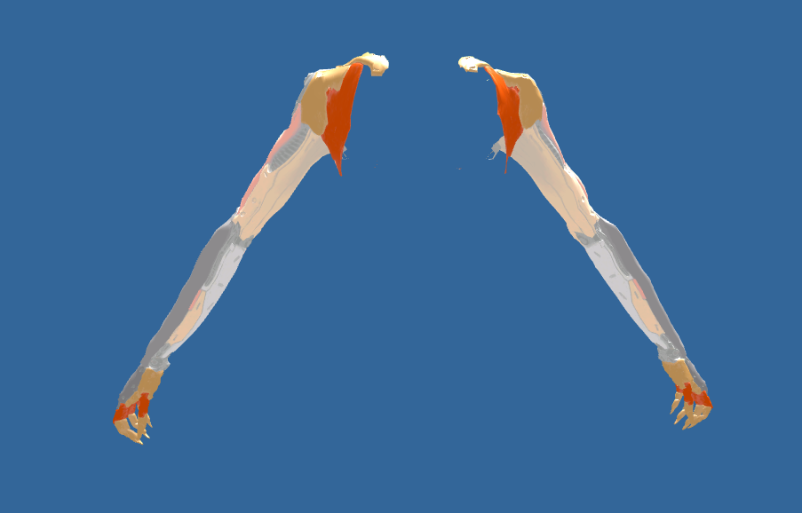 5778941661220ae488b886e8473e64d5f268f1e8.png