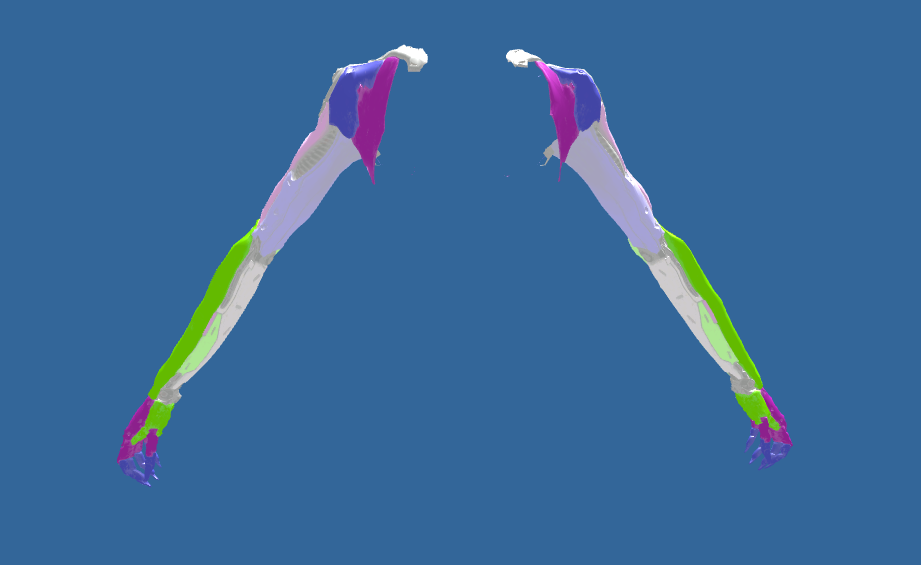 6c8a92ef2202e4f73ea9a8e551a65268d6ab9ed9.png