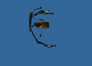 ec2dc317e0e572dc3a6cc4c9353a147aaec3bda9.png