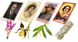sample icons of RDR2 collector images