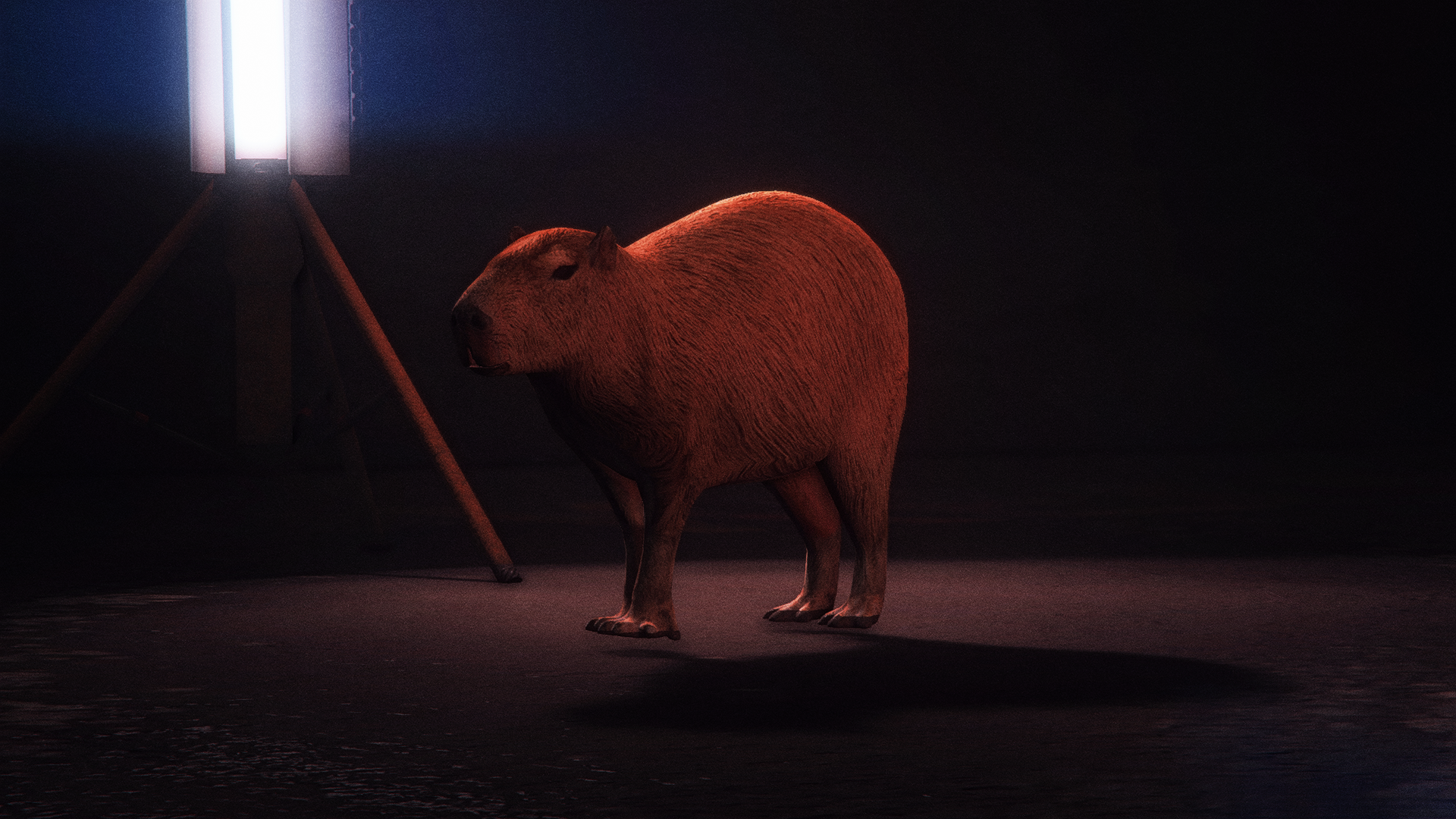 5486c6ad01076a4c3a59d58682e7cf19beee704e.png