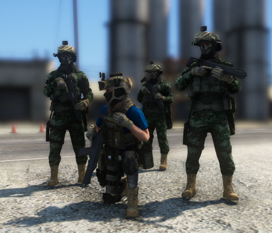 R SCRIPTS · R1 GUARDS