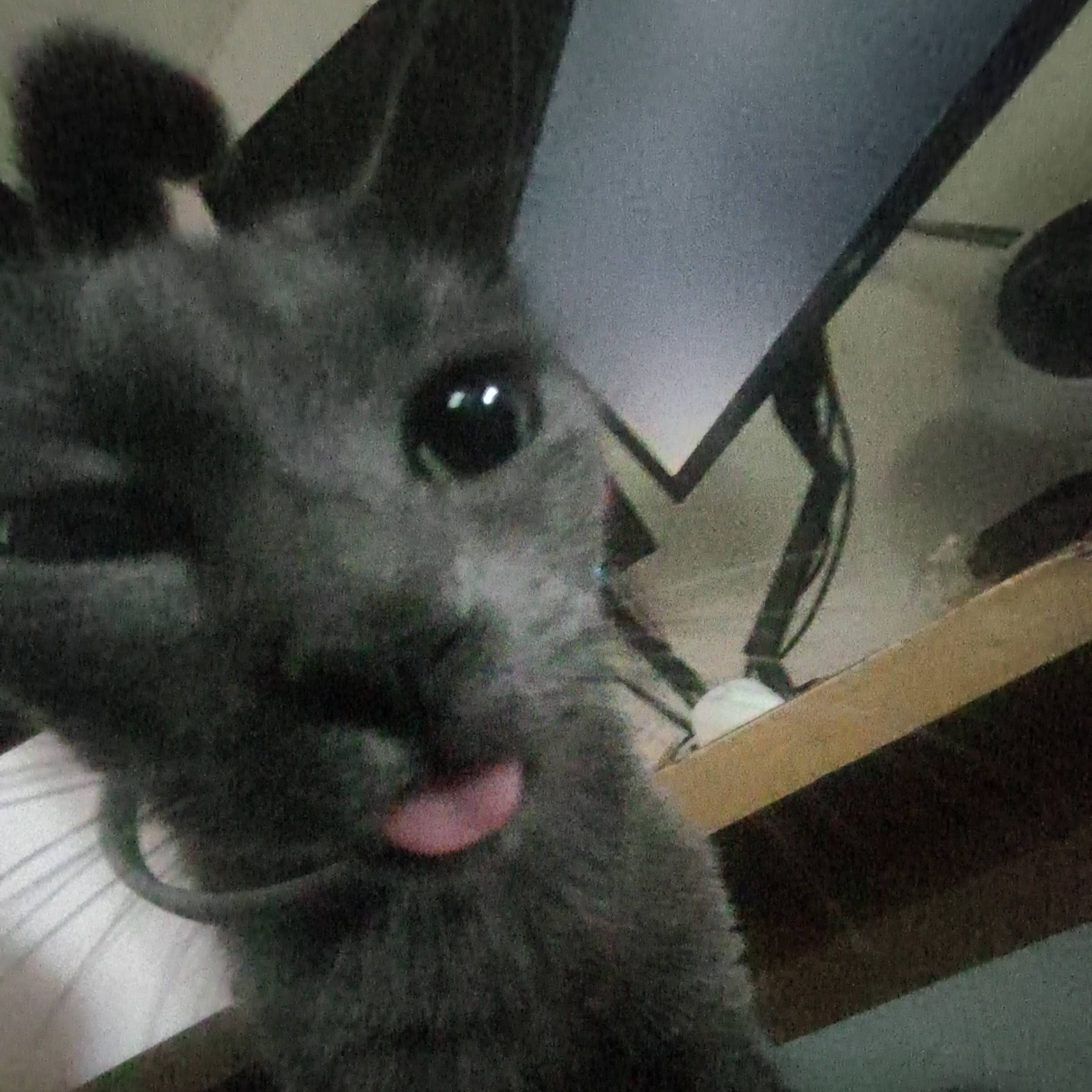 fe0bbdb7ef67e1ce66d0f32347d1a41a281f8a75.jpeg