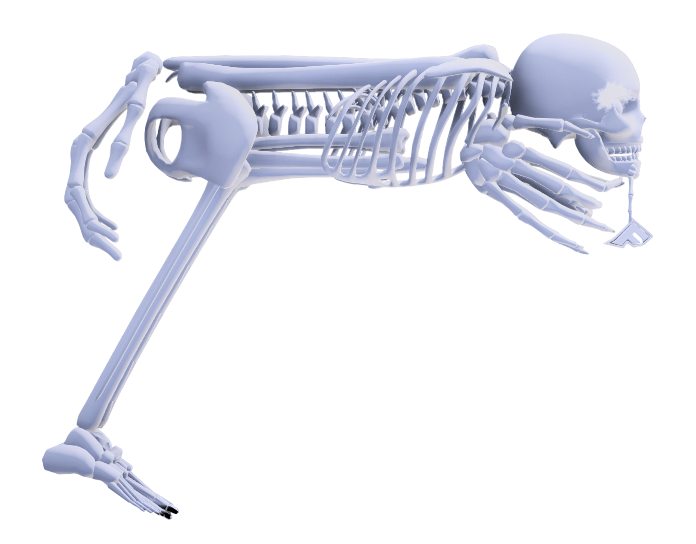 Koch VP9 Skull