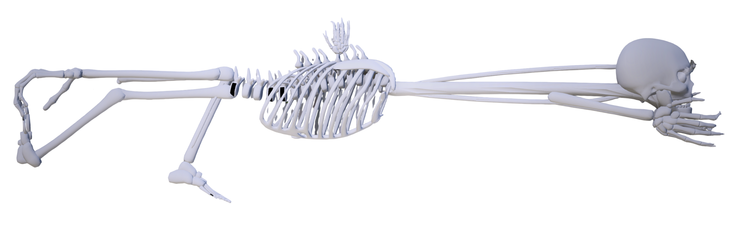 Sniper Rifle Skull