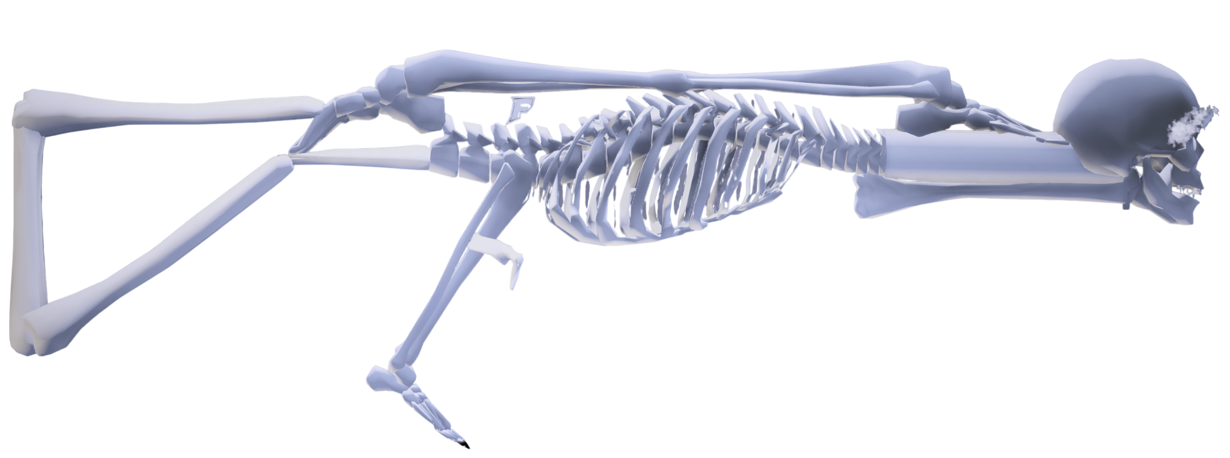 Special Carbine MK2 Skull