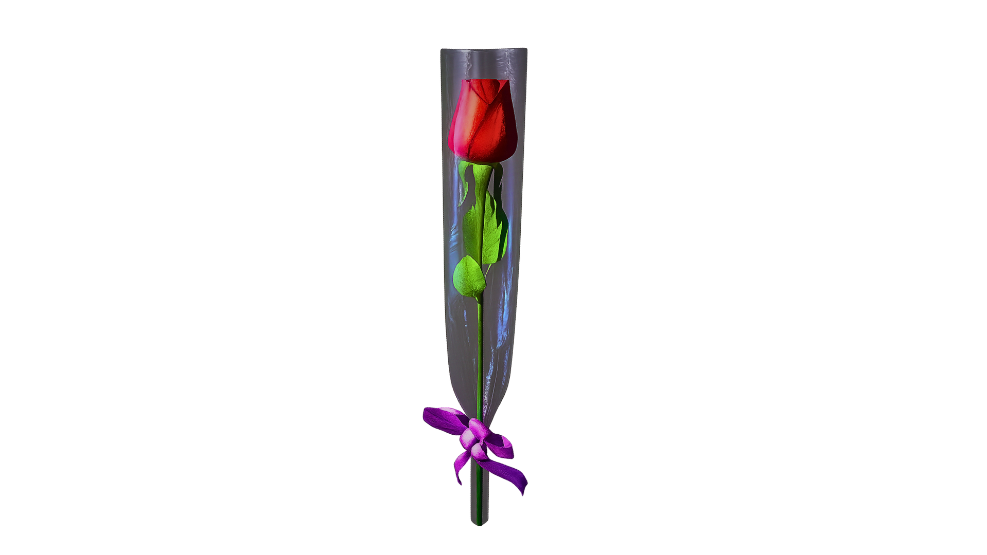 3dffcc49fcce15597db860b4bb00e970375262a4.png