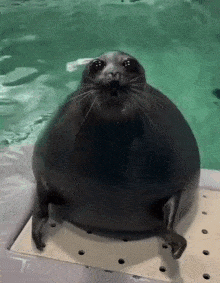 11d870770ff9cdedbdd1633bba68effcbb931510.gif