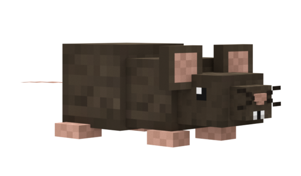5f605859de181ed42123747b28136e2ec50aa784.png