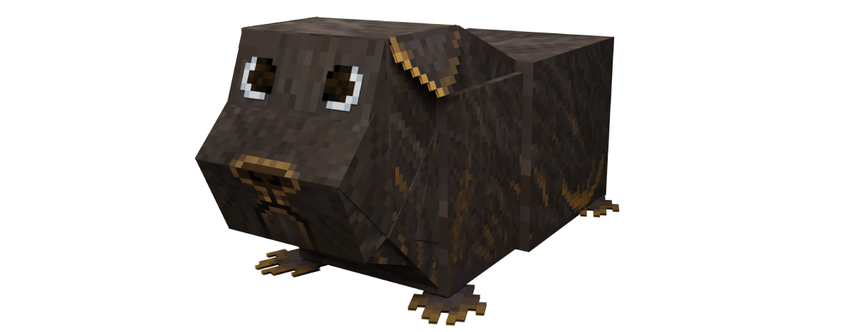 8c1ba6afd53bbf0e525c83ef2f3d1ae023cc7ebe.png