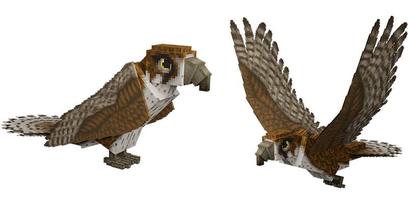 970a69d6dff14703c53fe5ad257a85d85df542e0.png