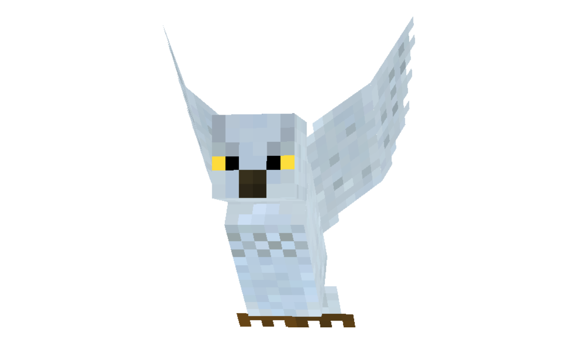 a2a479408f01aae1f9bf4ac2ef440aee92941c19.png