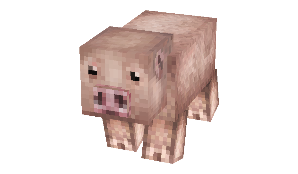 adaddb571e930d7ac7155ca8a91dc40e3d58dcad.png