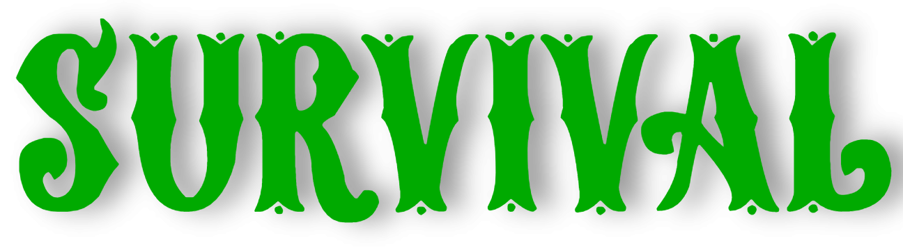 713c6fd9eb04b2b467a07b63c4f7eed94ed92346.png