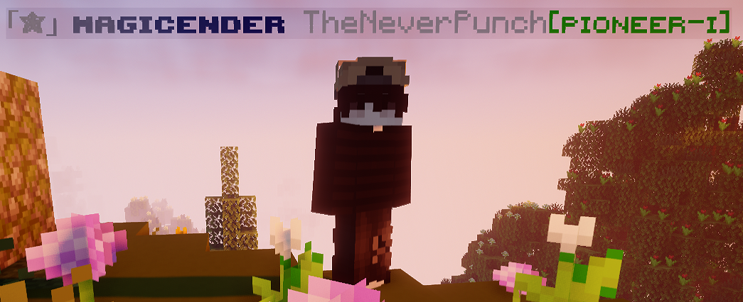 2fe389a9bee31ed8e078c1382357c5200ca4157f.png