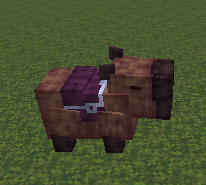 ad86e098ccafe313f2121ad4f69ca6af6db6d58b.png