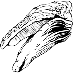 1041edc988640d4e574a4f3711188e70f4084799.png